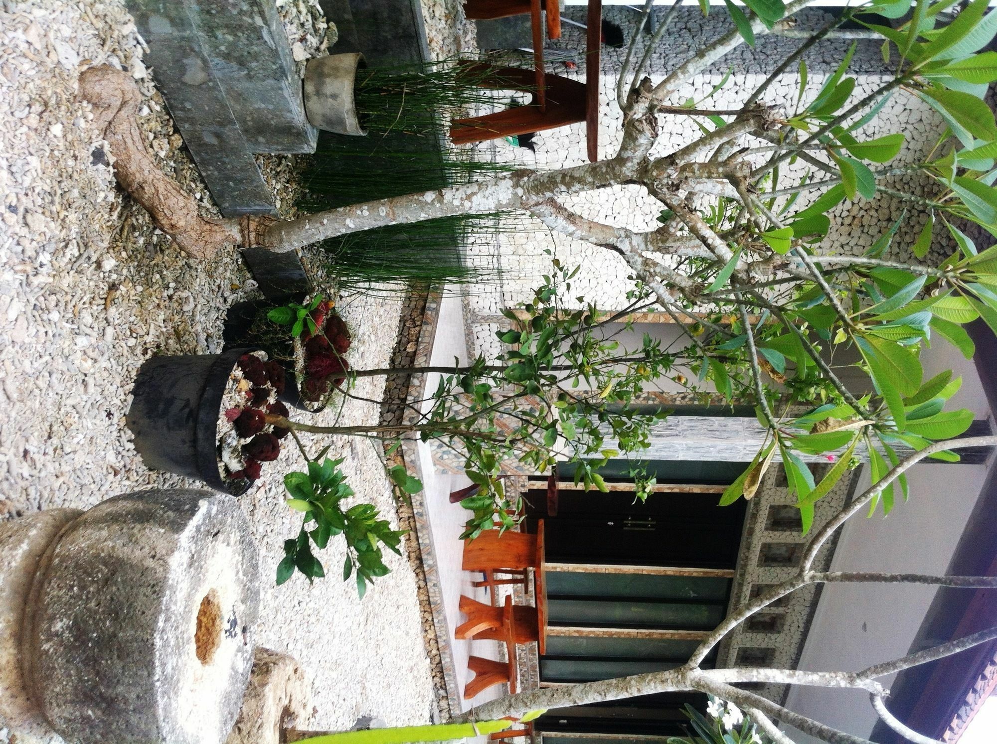 绿屋别墅 Ped 外观 照片