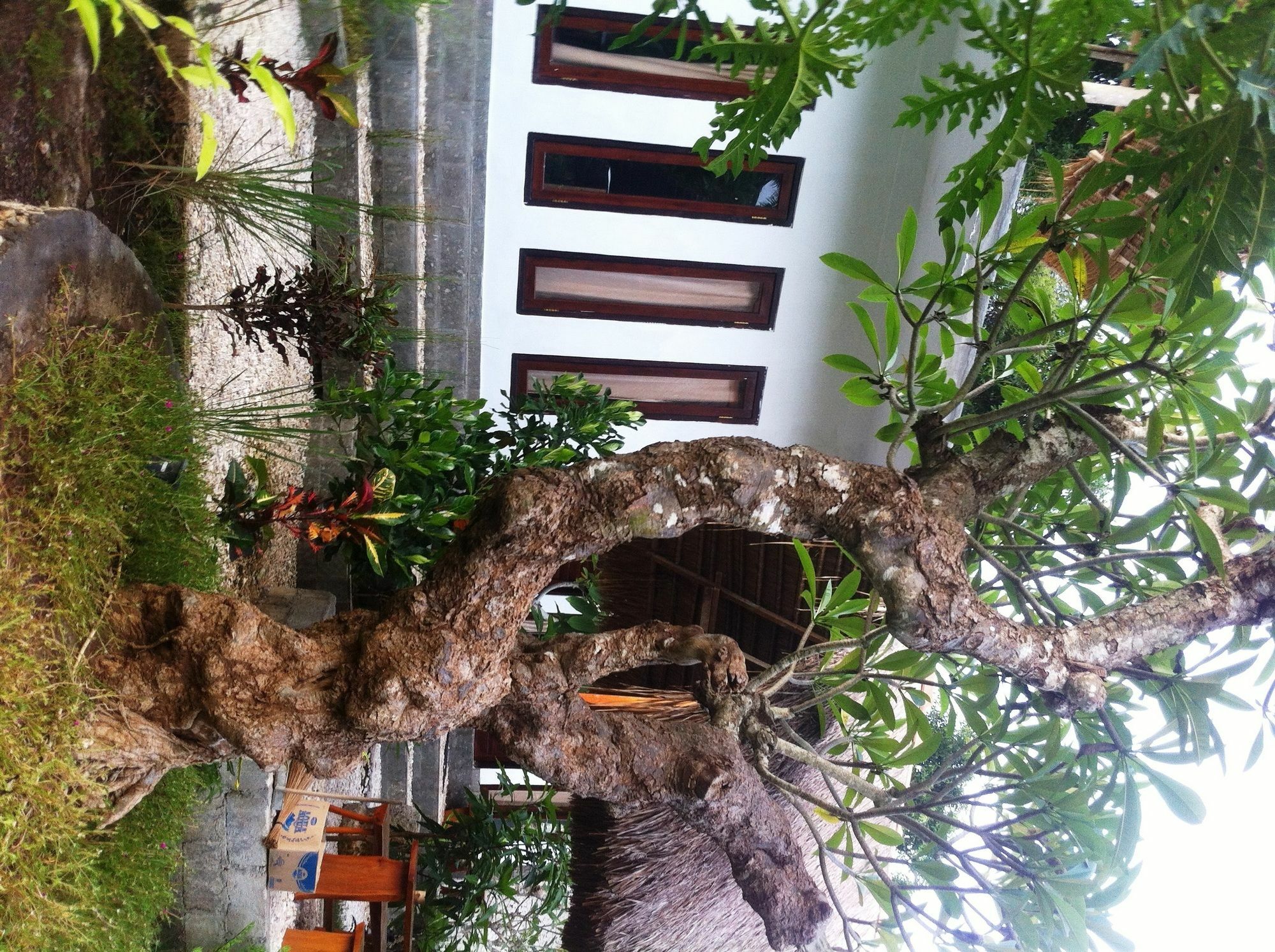 绿屋别墅 Ped 外观 照片
